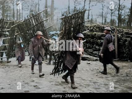 Britische Soldaten, die während der Bauarbeiten an der Westfront in Frankreich, im Ersten Weltkrieg, Grabenstützen trugen. Datum: Ca. 1916 Stockfoto