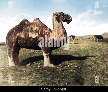 Kamelstatue auf der Straße zu den Ming-Gräbern, Nanjing, China. Datum: Ca. 1890 Stockfoto