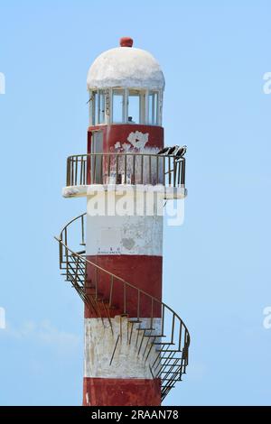 Osprey hoch oben auf dem alten verlassenen Leuchtturm Stockfoto