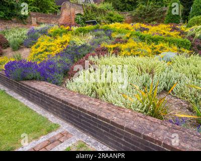 Blumenbetten, Historic Caversham Court, Reading Council Gardens, Caversham, Reading, Berkshire, England, Großbritannien, GB. Stockfoto