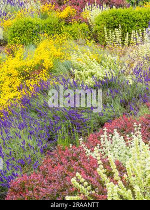 Blumenbetten, Historic Caversham Court, Reading Council Gardens, Caversham, Reading, Berkshire, England, Großbritannien, GB. Stockfoto