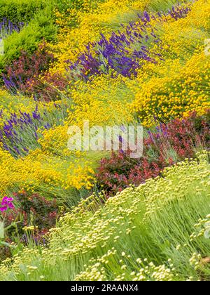 Blumenbetten, Historic Caversham Court, Reading Council Gardens, Caversham, Reading, Berkshire, England, Großbritannien, GB. Stockfoto