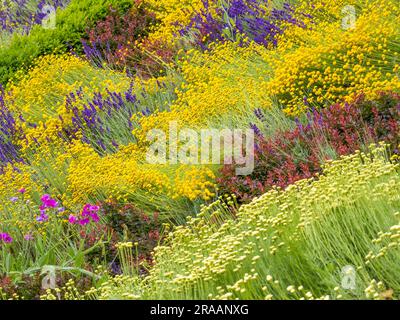 Blumenbetten, Historic Caversham Court, Reading Council Gardens, Caversham, Reading, Berkshire, England, Großbritannien, GB. Stockfoto