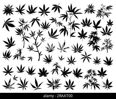 Ein Set Cannabis verlässt Silhouette Stock Vektor