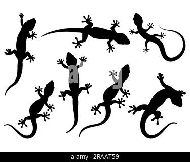 Set Gecko Silhouette Stock Vektor
