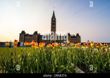 Das kanadische Parlament in Ottawa während des Tulpenfestivals Stockfoto