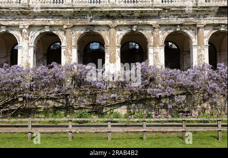 Trentham Gardens, altes, verlassenes, heruntergekommenes Gebäude in Trentham, Stoke on Trent, Stadtuntergang, urbaner Niedergang, rustikales Gebäude Stockfoto