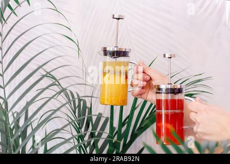 Teekannen in französischer Presse mit Sanddorn und Preiselbeertee in den Händen eines Mannes vor dem Hintergrund von Palmenzweigen. Stockfoto