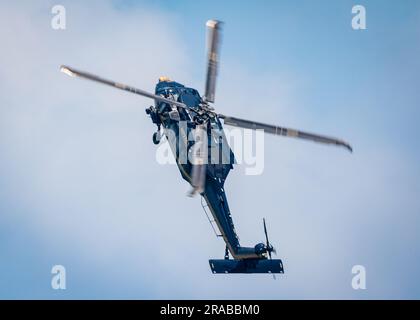 Die Zollbehörde, die einen Verdächtigen aufspürt. Stockfoto