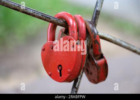 Vorhängeschlösser in Herzform. Schlösser hängen in einem Park, Symbol der ewigen Liebe Stockfoto