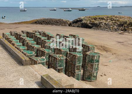 Am Kai standen Hummertöpfe und trockneten aus Stockfoto