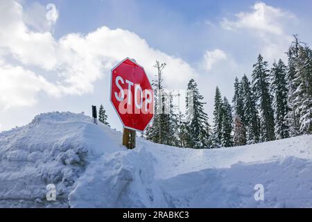 Stoppschild am Straßenrand fast mit Schnee bedeckt, verschneiter Winter Stockfoto