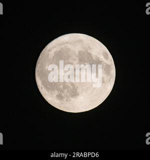 Abbotsbury, Dorset, Großbritannien. 2. Juli 2023 Wetter in Großbritannien. Der fast volle Buck-Supermond am helllichten Nachthimmel in Abbotsbury in Dorset. Bildnachweis: Graham Hunt/Alamy Live News Stockfoto