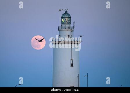 Malaga, Spanien. 2. Juli 2023. Der Buckmond, der am Himmel über einem Leuchtturm aufgeht, ist im Hafen von Malaga zu sehen. Anfang Juli findet der Vollmond der Hirsche als eines der beeindruckendsten astronomischen Ereignisse des Monats statt. Wenn der Vollmond stattfindet, erscheint er größer und heller als normal. (Credit Image: © Jesus Merida/SOPA Images via ZUMA Press Wire) NUR REDAKTIONELLE VERWENDUNG! Nicht für den kommerziellen GEBRAUCH! Stockfoto