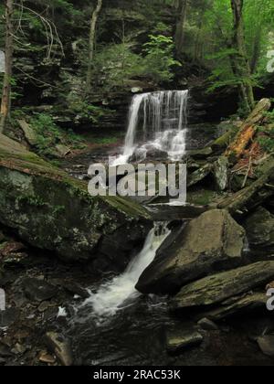 B. Reynolds Falls stürzt durch den Ricketts Glen State Park in Benton, Pennsylvania. Stockfoto