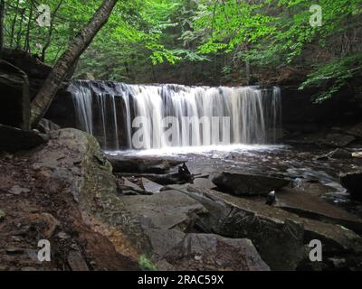 Die Oneida Falls stürzen durch den Ricketts Glen State Park in Benton, Pennsylvania. Stockfoto