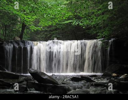 Die Oneida Falls stürzen durch den Ricketts Glen State Park in Benton, Pennsylvania. Stockfoto