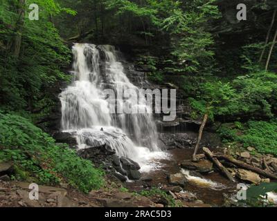 Erie Falls stürzt durch den Ricketts Glen State Park in Benton, Pennsylvania. Stockfoto