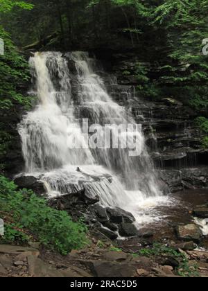 Erie Falls stürzt durch den Ricketts Glen State Park in Benton, Pennsylvania. Stockfoto