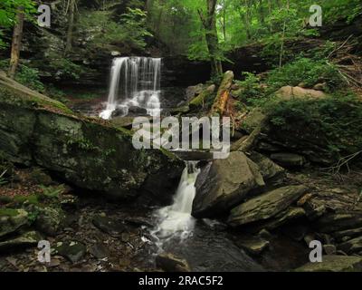 B. Reynolds Falls stürzt durch den Ricketts Glen State Park in Benton, Pennsylvania. Stockfoto