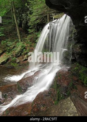 B. Reynolds Falls stürzt durch den Ricketts Glen State Park in Benton, Pennsylvania. Stockfoto