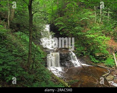 Die Tuscarora Falls stürzen durch den Ricketts Glen State Park in Benton, Pennsylvania. Stockfoto