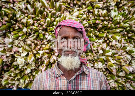 Porträt eines Bauern vor den Bündeln von Wasserlilien, die von Char Nimtolar Beel in Sirajdikhan upazila aus Munshiganj gepflückt wurden. Das ist die Nationalmannschaft Stockfoto
