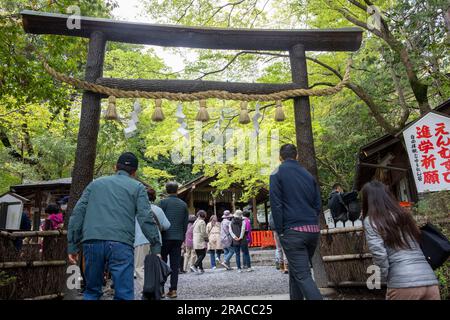 Kyoto, Japan, 2023. Nonomiya Jinja Schrein auf dem Sagano Wanderweg im Bambushain Arashiyama, Kyoto, Japan, Asien Stockfoto