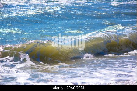 Das Meer ist stürmisch. Das Asowsche Meer. Wasserrand, Meer, Wellen, Sturm - natürlicher Meereshintergrund. Vogelseemöwen an der Küste, ein Strand Stockfoto