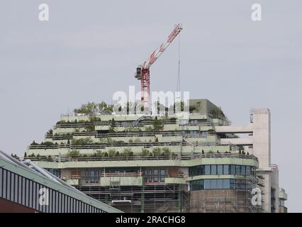 Hamburg, Deutschland. 01. Juni 2023. Blick auf den grünen und gepflanzten Aufbau auf dem Dach des Hochbunkers Heiligengeistfeld. Die Ökologisierung und der Bau des Bunkers Heiligengeistfeld sollen in diesem Jahr abgeschlossen sein. (An dpa-Korr: 'Grauer Bunker wird größer und grüner - Pflanzen in vollem Gange') Kredit: Marcus Brandt/dpa/Alamy Live News Stockfoto