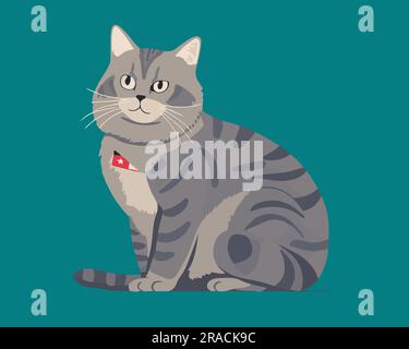 Vektordarstellung der Katze „Sitzen flach“ Stock Vektor