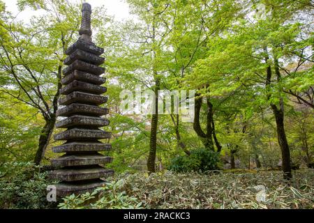 Kyoto 2023, Hogon-in Tempel Zen Garten, Arashiyama, Kyoto im Frühjahr 2023, japanischer Garten mit Frühlingsblumen Stockfoto