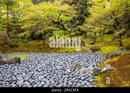 2023 Hogon-in Sub Temple Zen Garden, trockener Teich, der das Meer des Leidens des menschlichen Lebens repräsentiert, Arashiyama, Kyoto, Japan, Löwen brüllen Garten Stockfoto