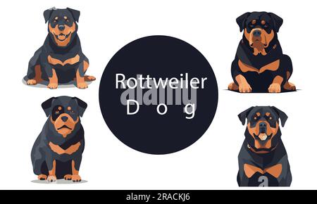 Ein Satz Rottweiler Dog Vector Illustration Stock Vektor