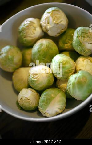 Ungekochte rosenkohle in einer weißen Keramikschüssel Stockfoto