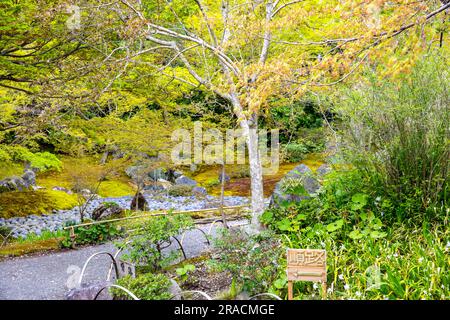 2023 Hogon-in Sub Temple Zen Garden, trockener Teich, der das Meer des Leidens des menschlichen Lebens repräsentiert, Arashiyama, Kyoto, Japan, Löwen brüllen Garten Stockfoto