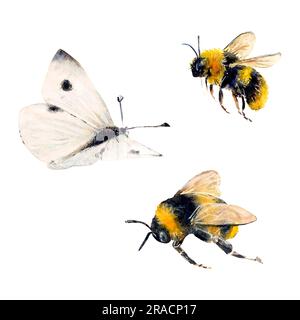 Aquarellbildner Satz aus zwei Bienen und einem Schmetterling, handgezeichnet auf weißem Hintergrund. Realistisches Tierbild für Ikone oder Logo, Designs und Begrüßungen Stockfoto