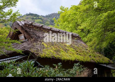 Hogon-in-Tempelgärten Kyoto, moosbedecktes Dach eines kleinen Gebäudes in den Gärten, Tenryu-ji-ji-Kopftempel, Kyoto, Japan, Asien, 2023 Stockfoto