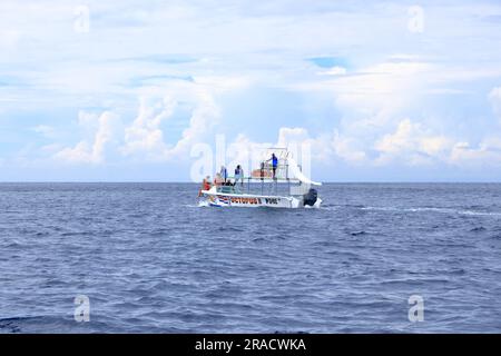 März 14 2023 - Samara, Guanacaste in Costa Rica: Bootsausflug zur Beobachtung von Delfinen im Pazifik Stockfoto