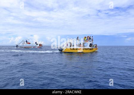 März 14 2023 - Samara, Guanacaste in Costa Rica: Bootsausflug zur Beobachtung von Delfinen im Pazifik Stockfoto