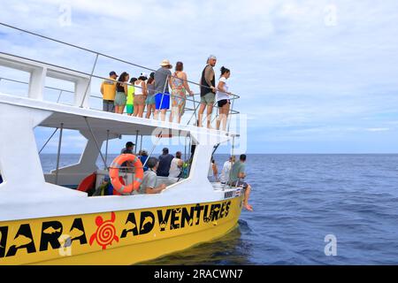 März 14 2023 - Samara, Guanacaste in Costa Rica: Bootsausflug zur Beobachtung von Delfinen im Pazifik Stockfoto