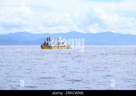 März 14 2023 - Samara, Guanacaste in Costa Rica: Bootsausflug zur Beobachtung von Delfinen im Pazifik Stockfoto