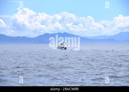 März 14 2023 - Samara, Guanacaste in Costa Rica: Bootsausflug zur Beobachtung von Delfinen im Pazifik Stockfoto