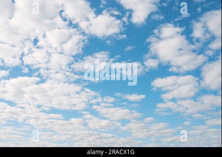 Kleine Kumuluswolken. Blauer Sommer, erleuchtet von der Sonne darauf kleine Wolken. Wolkentextur für den Hintergrund. Stockfoto