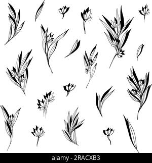 Große Silhouetten mit botanischen Blumenelementen. Äste, Blätter, Kräuter, Blumen. Garten-, Feld-, Wiesen- und Wildpflanzen, die in der Bouquet-Sammlung gesammelt wurden Stock Vektor