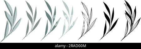 Gruppe von botanischen Vektorzweigen mit Blättern. Grün, schwarz und weiß, schwarze Silhouetten und Konturen. Vektordarstellung isoliert auf weißem Hintergrund Stock Vektor