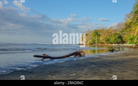 Strand von Santa Catalina Stockfoto