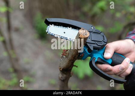 Halten Sie die leichte Motorsäge mit Batterie in der Hand, um einen gebrochenen Ast eines Baumes an sonnigen Tagen zu trimmen Stockfoto