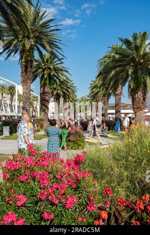 Touristen genießen die Uferpromenade in kroatien in Grad Split. Palmen entlang der Promenade am Hafen von Split in kroatien. Stockfoto