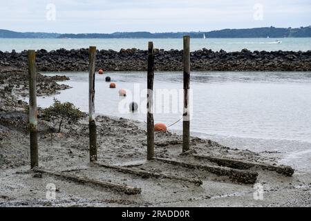 Ebbe-Schlammflächen im Maraetai Harbour östlich von Auckland auf der neuseeländischen Nordinsel. Maraetai liegt an der Tāmaki-Straße im Hauraki-Golf. Stockfoto